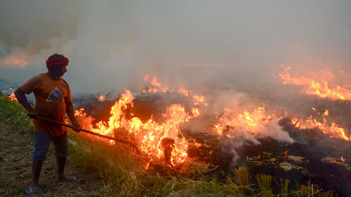 Air pollution | Crop residue burning in States adjacent to Delhi has to be stopped, says SC