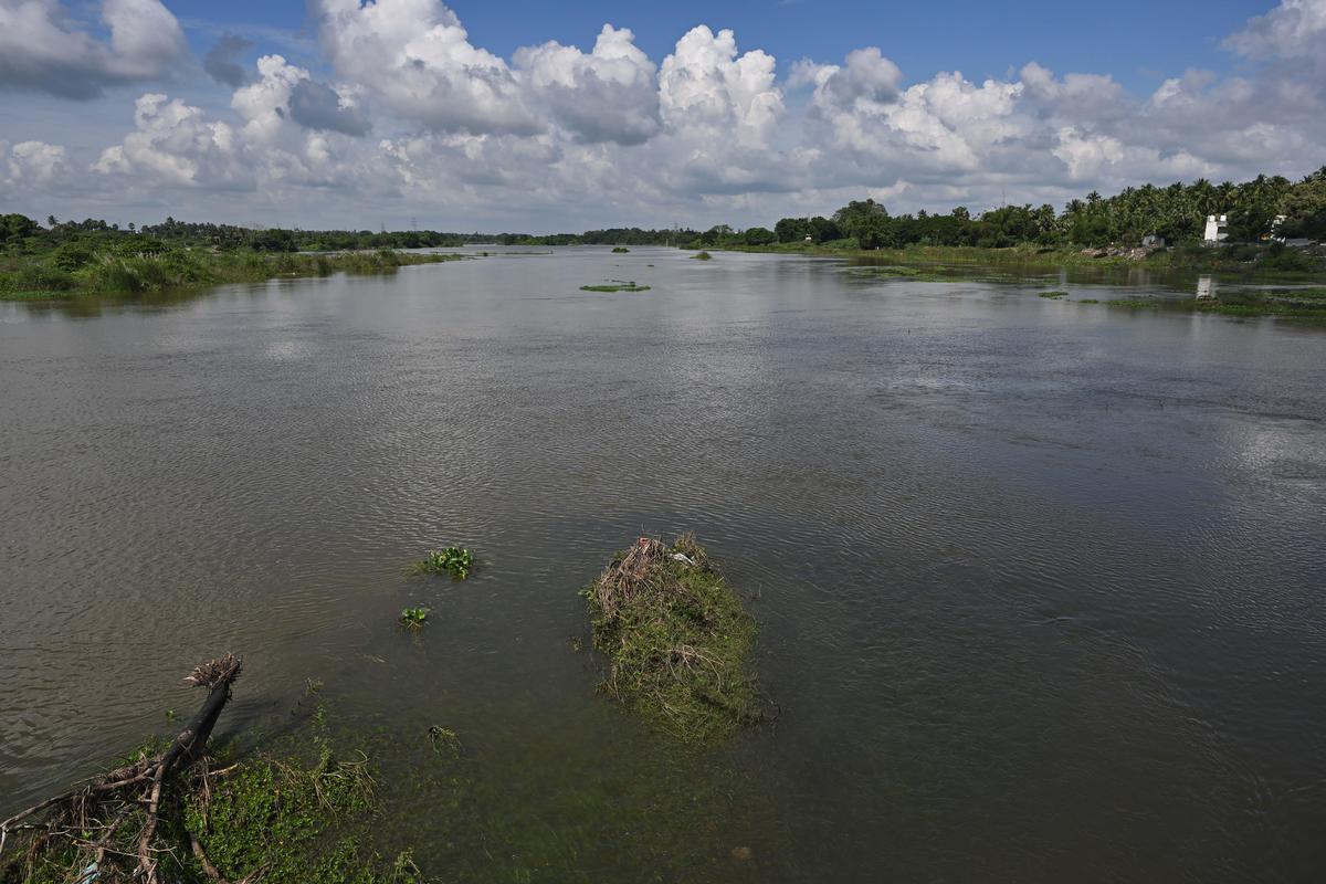 Sankaraparani river as seen at Villianur in Puducherry on Thursday. 
