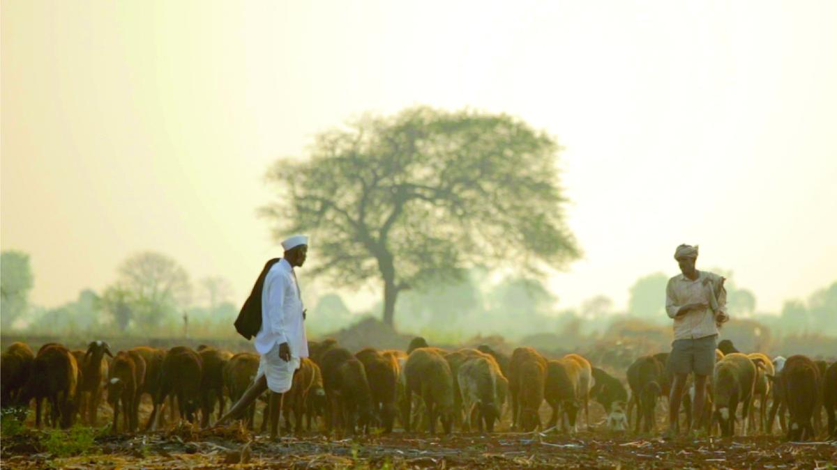 A peek into the life and culture of the pastoral Kurubas of Karnataka