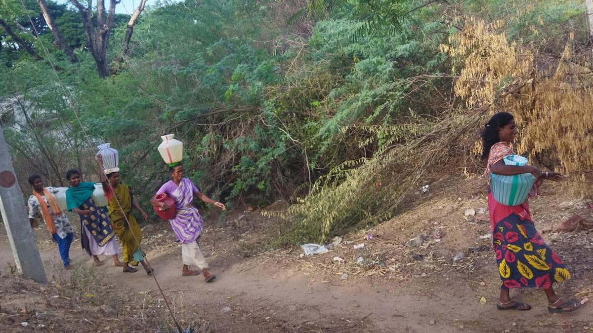 Tribal residents of water-starved Karattupatti hamlet near Amaravathi Dam in Tiruppur district live in perennial fear of elephant attack