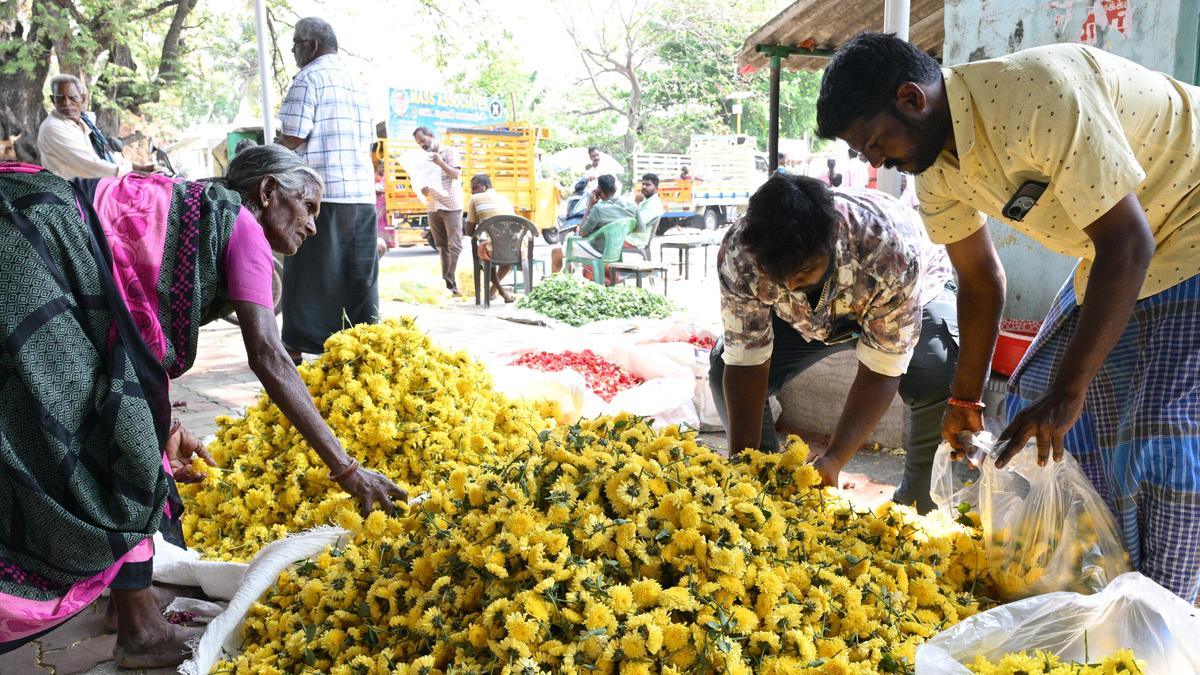 T.N. Assembly election 2026: Omalur constituency residents seek cold storage facility for marigold, market price for land given for airport expansion