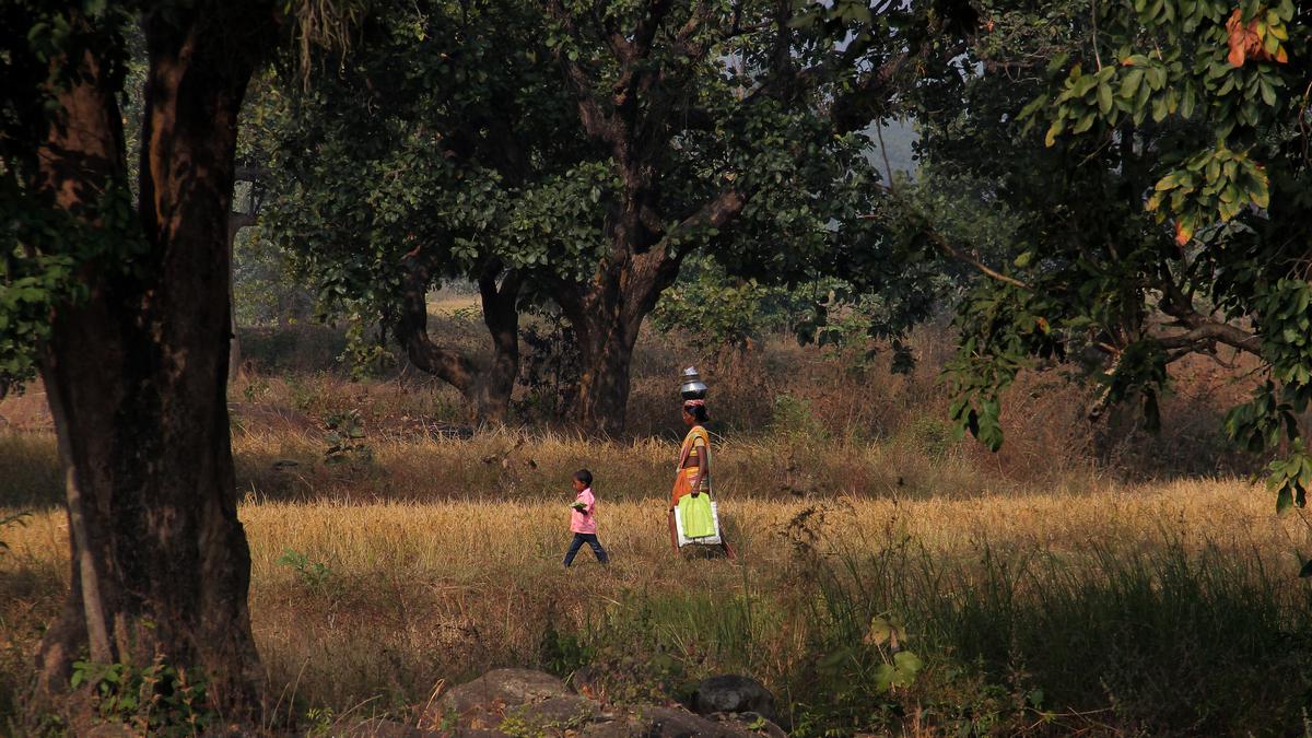 Life of 6,000 villagers set to improve as 38 villages in Odisha’s Ganjam district get ‘revenue’ status