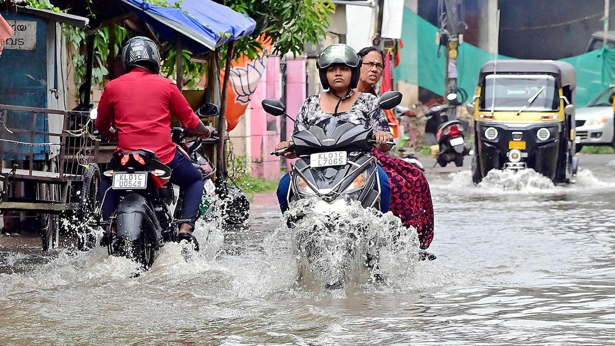 Kerala rains: Two districts on red alert