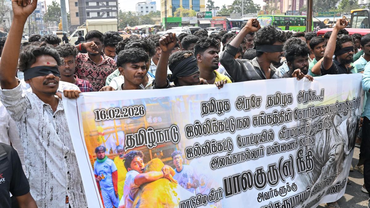 Jallikattu players demand compensation for deceased bull tamer