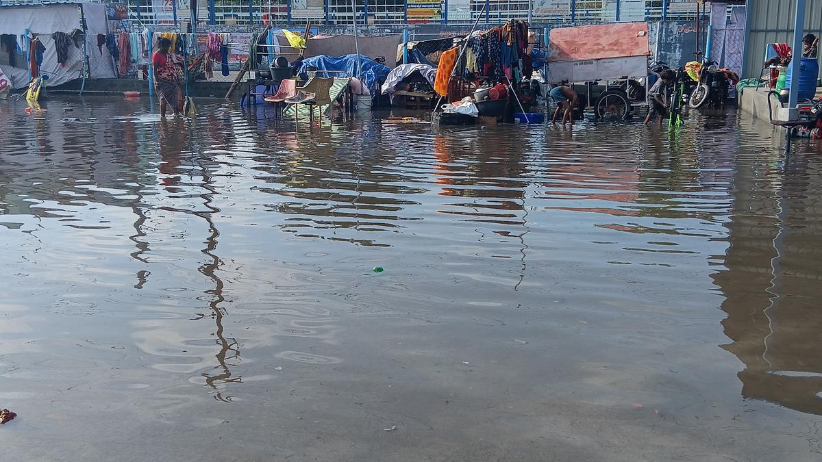 Widespread summer rain in four southern districts