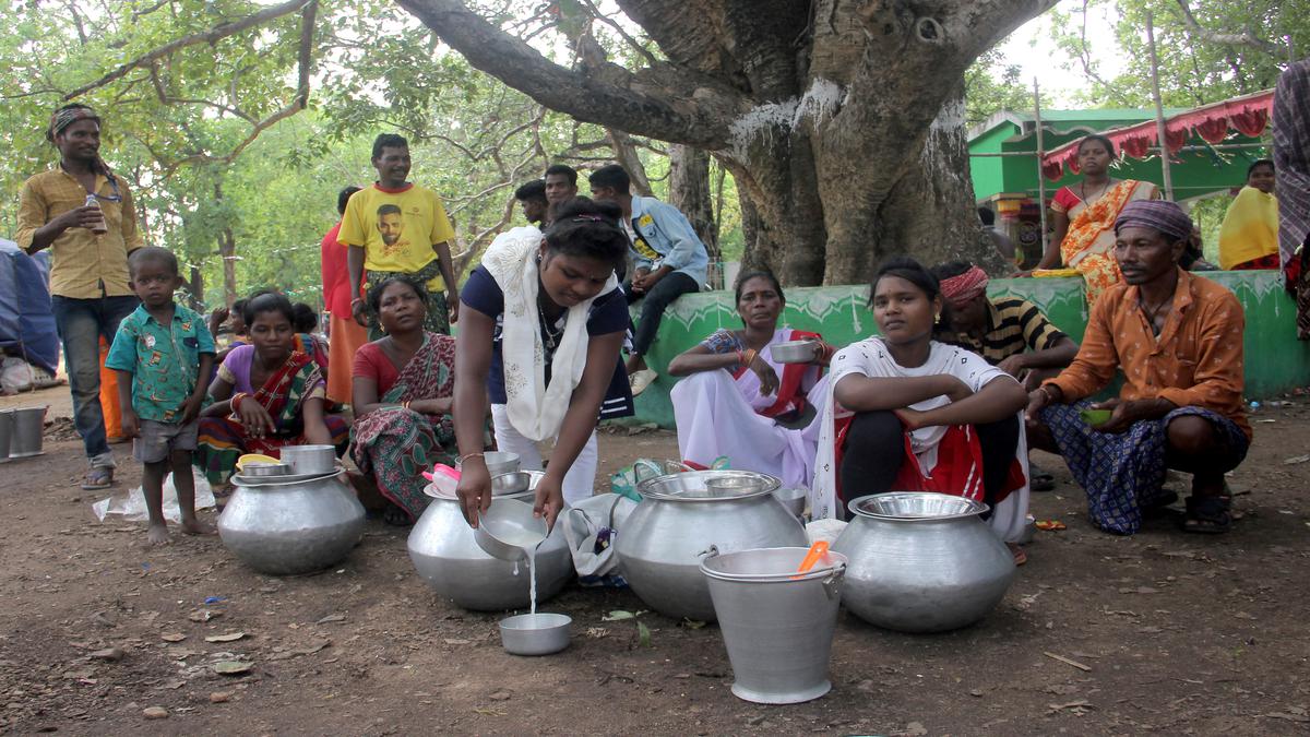 Tracking Odisha’s missing schoolchildren