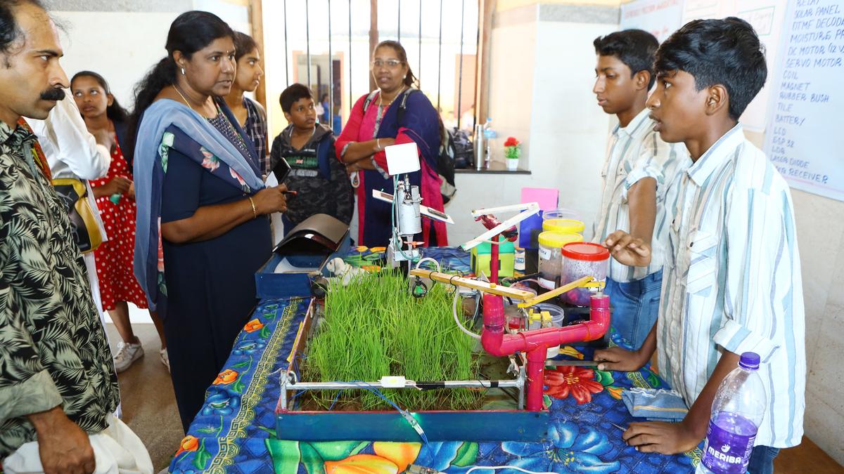 Students shine with tech innovations at State School Science Festival
