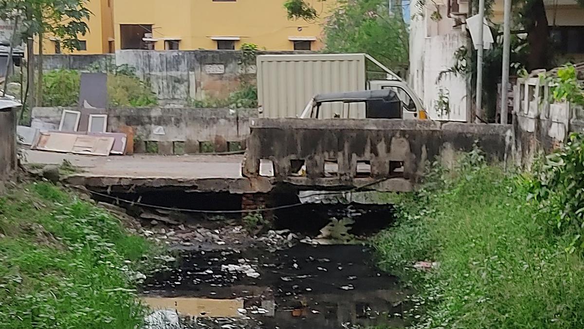 Some bridges over Trustpuram Canal may need a relook