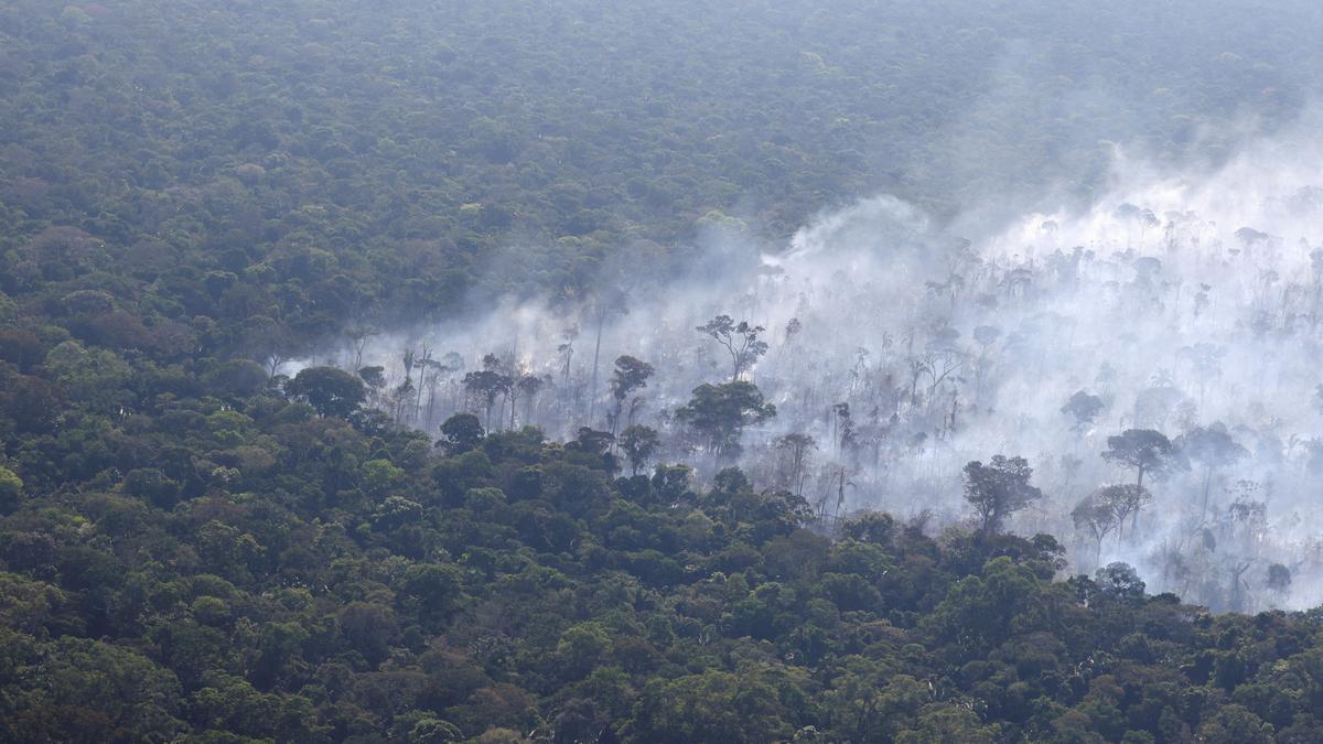 'Green Nobel' prize to recognize environmental work in Amazon rainforest