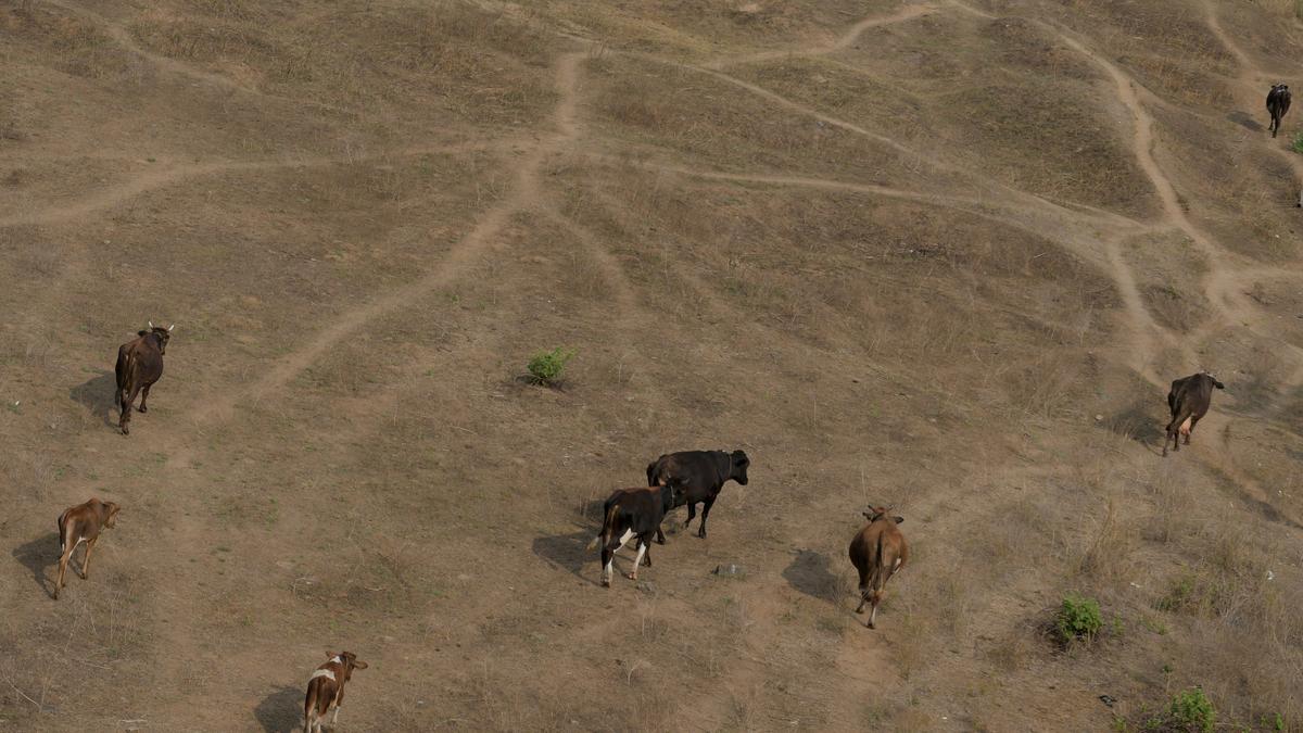 2024 records hottest-ever January and February: Data