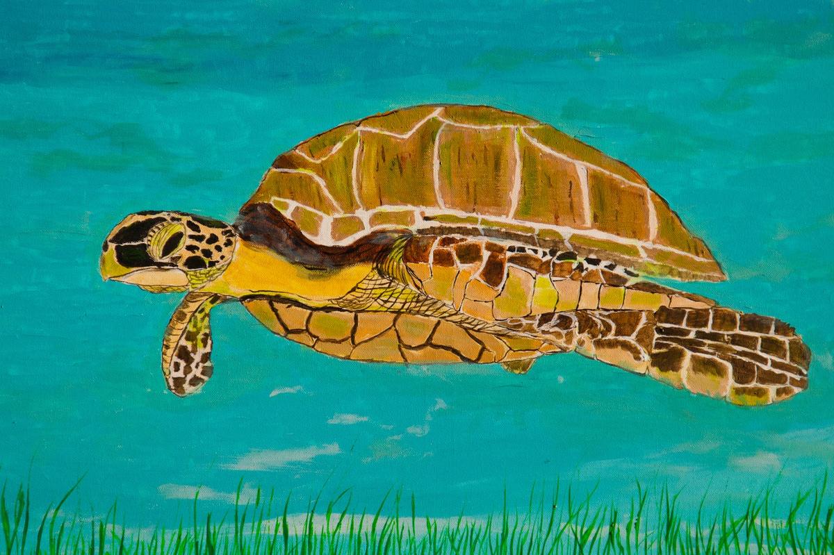 Aneeshwar’s paintings were displayed at the Kennedy Centre in the US and the Warrington Museum in the UK.