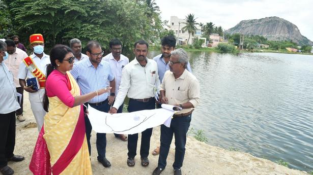 Development works reviewed in Krishnagiri