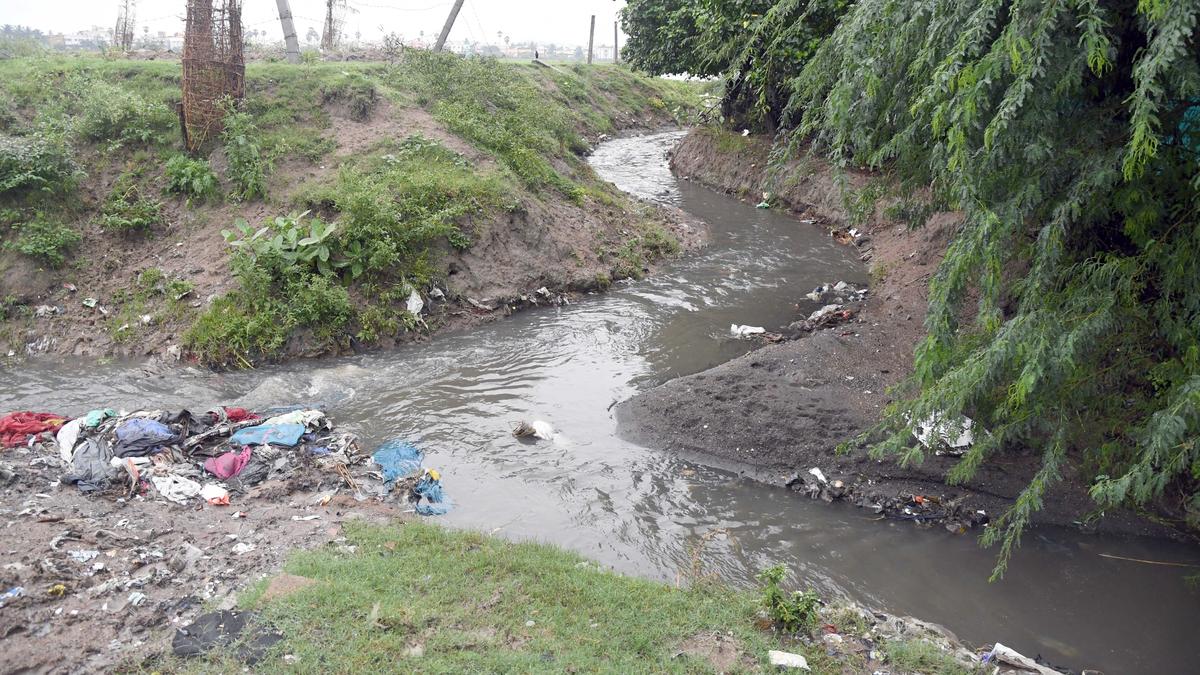 More storage, less beautification needed at Sembakkam lake: Chennai residents