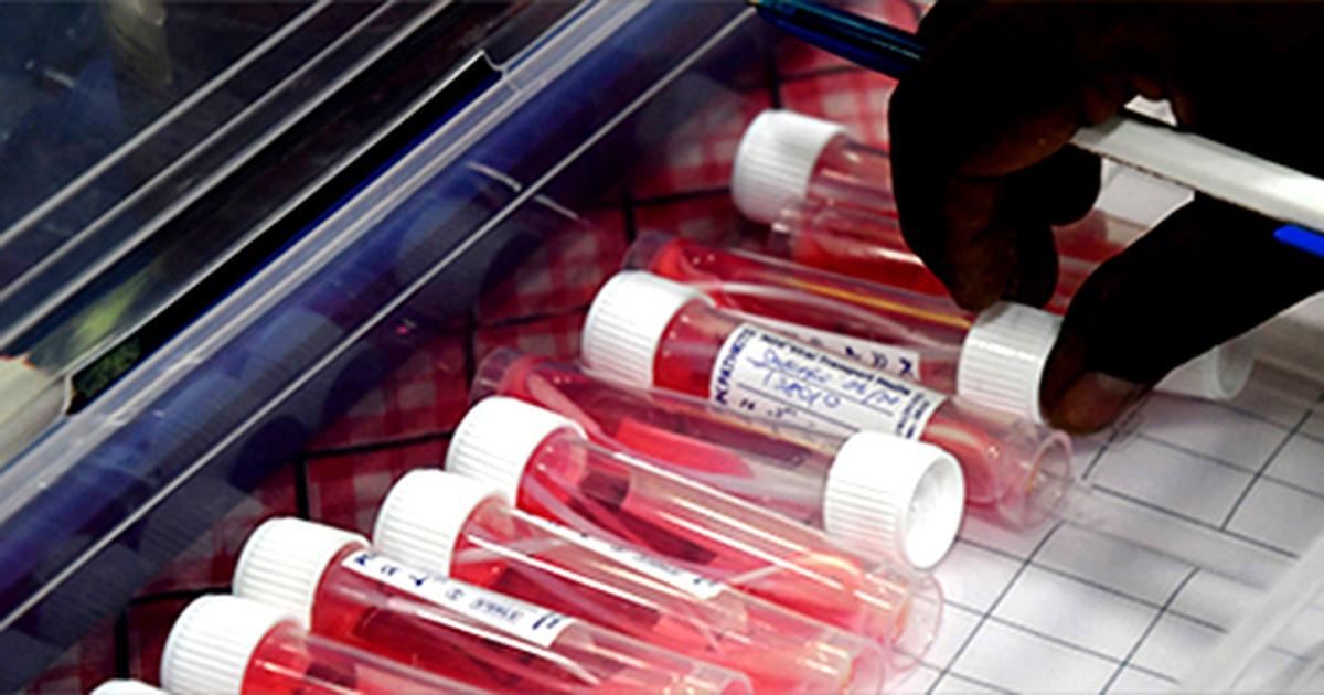 No new COVID-19 cases in 21 districts of T.N.