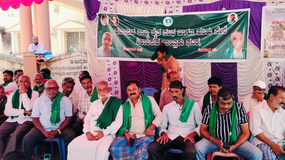 Farmers protest over KPTCL power line work at Shikaripur