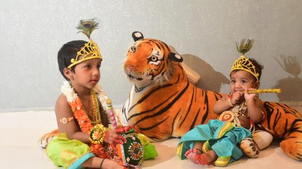 All set for Sri Krishnashtami festival in Tirupati