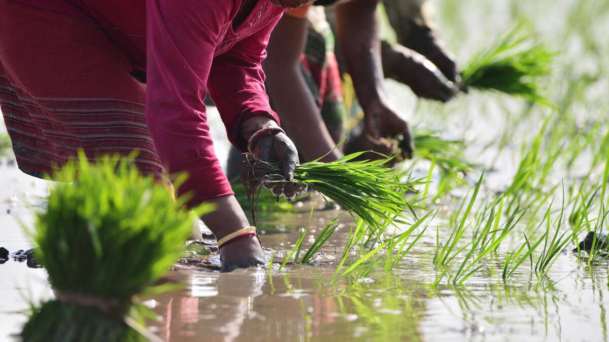 No major change in employment status or wages in 10 years: Data No major change in employment status or wages in 10 years: Data
