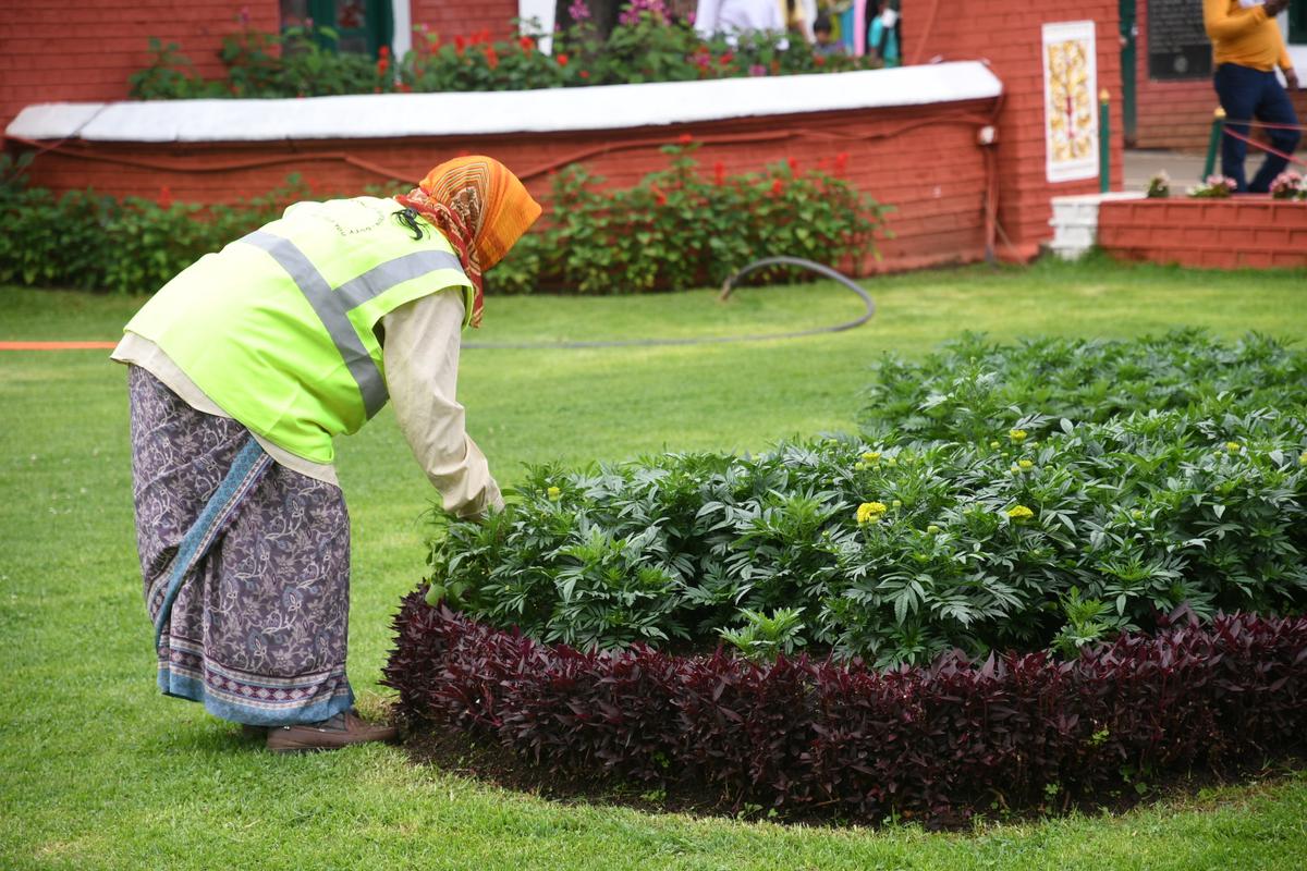 In Full Bloom” Celebrates the Healing Power of Horticulture