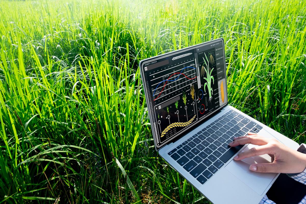 thehindu.com - Snehal Mutha - Maharashtra govt to hold Artificial Intelligence in Agriculture and Investment Summit on Feb 22