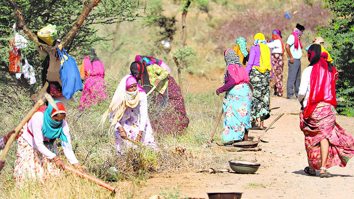 Civil society groups seek help from Opposition parties to 'save' MGNREGA