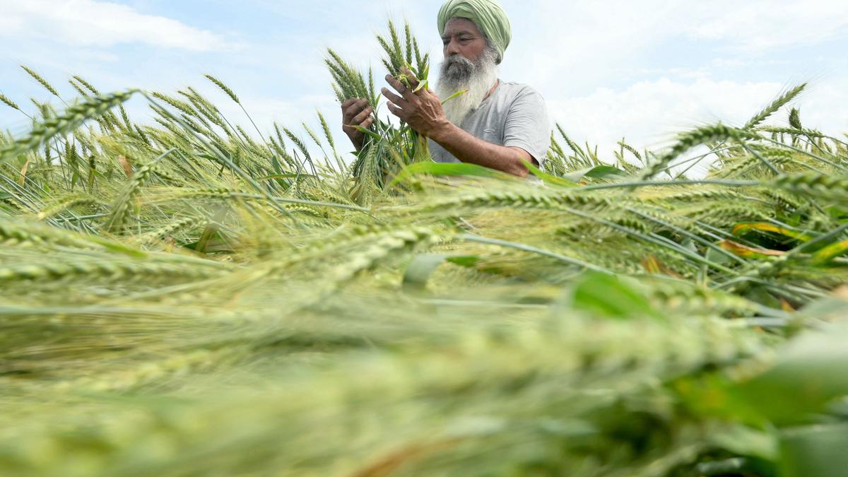 ITC Infotech’s deep-tech platform aims to enhance income of 10 mn farmers by 2030