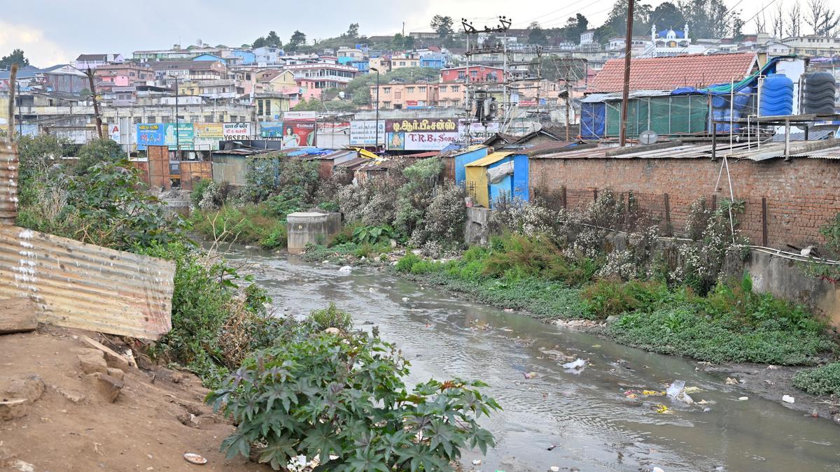 Tamil Nadu Assembly election 2026: Udhagamandalam faces challenges in tourism and tea sectors