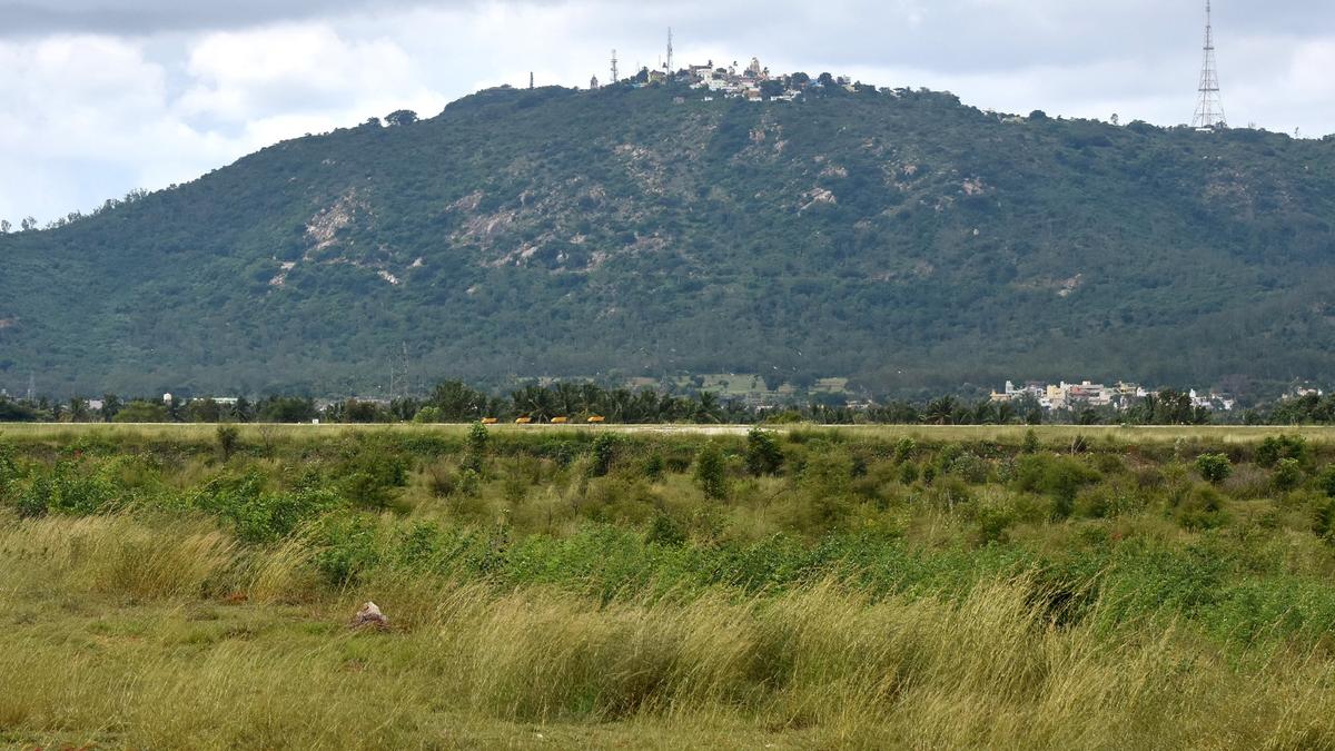 Ropeway to Chamundi Hills: Activists to prevail upon CM to disband the idea