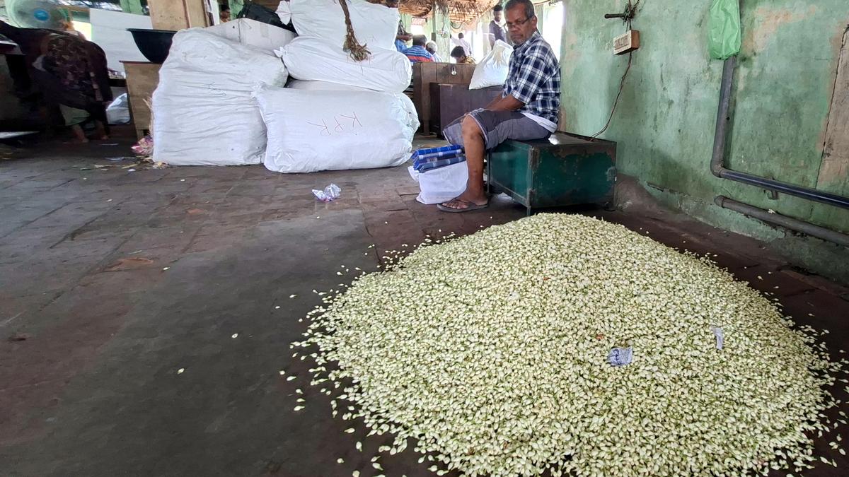 Flower supply increases in Dindigul