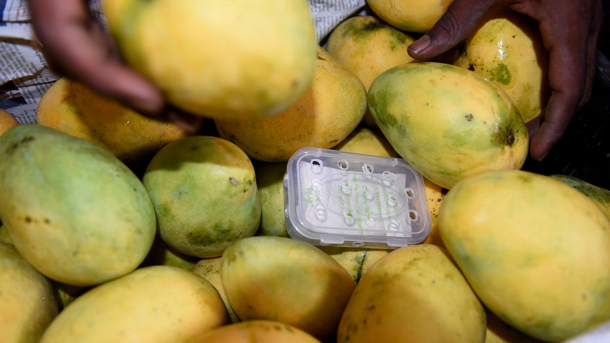 FSSAI calls for crackdown on illegal fruit ripening practices