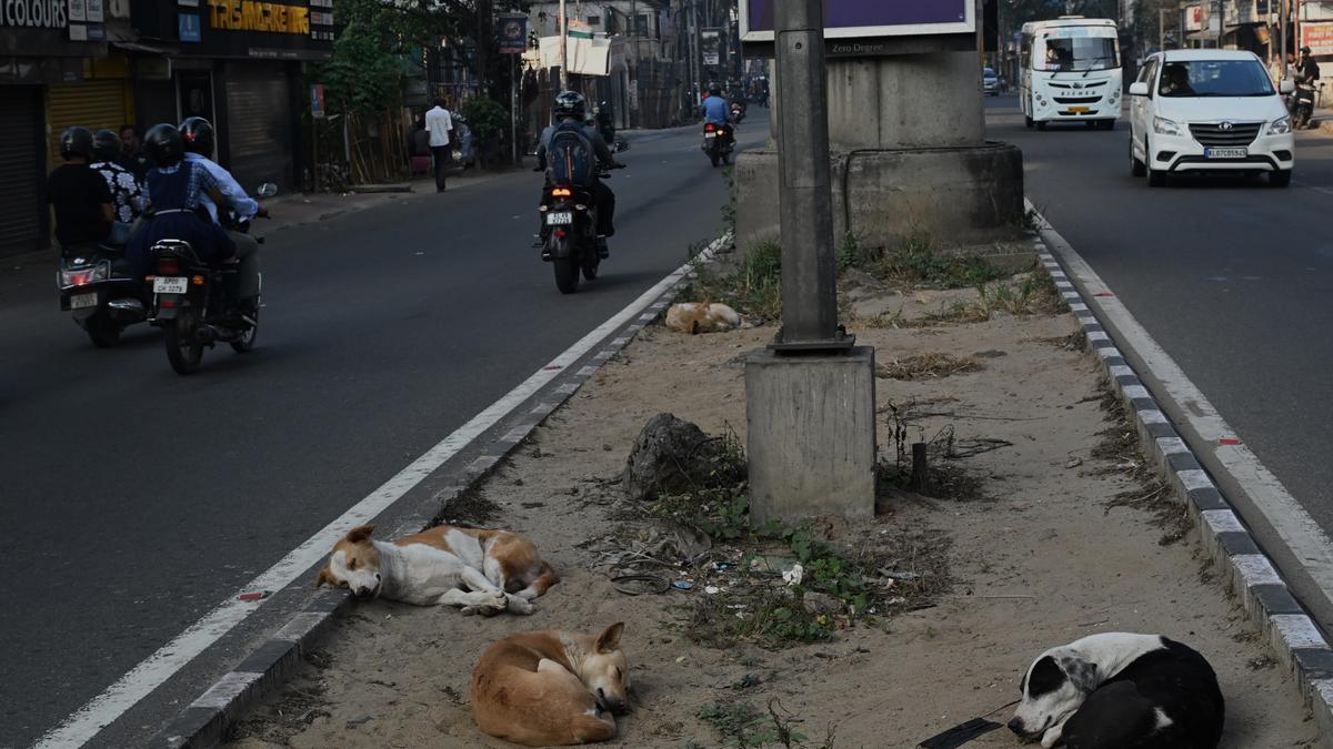 Protest against sheltering of stray dogs in Kunnathunad