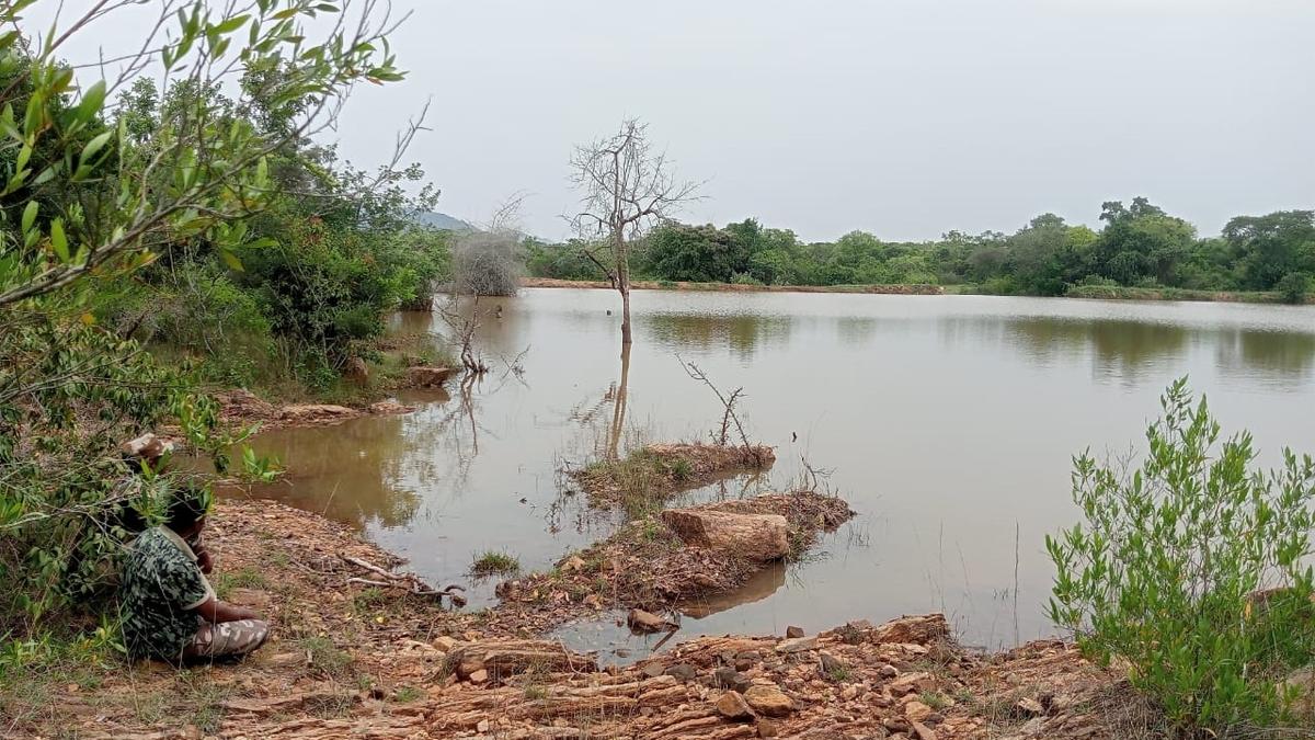 Three-day elephant population estimation concludes in Erode Circle