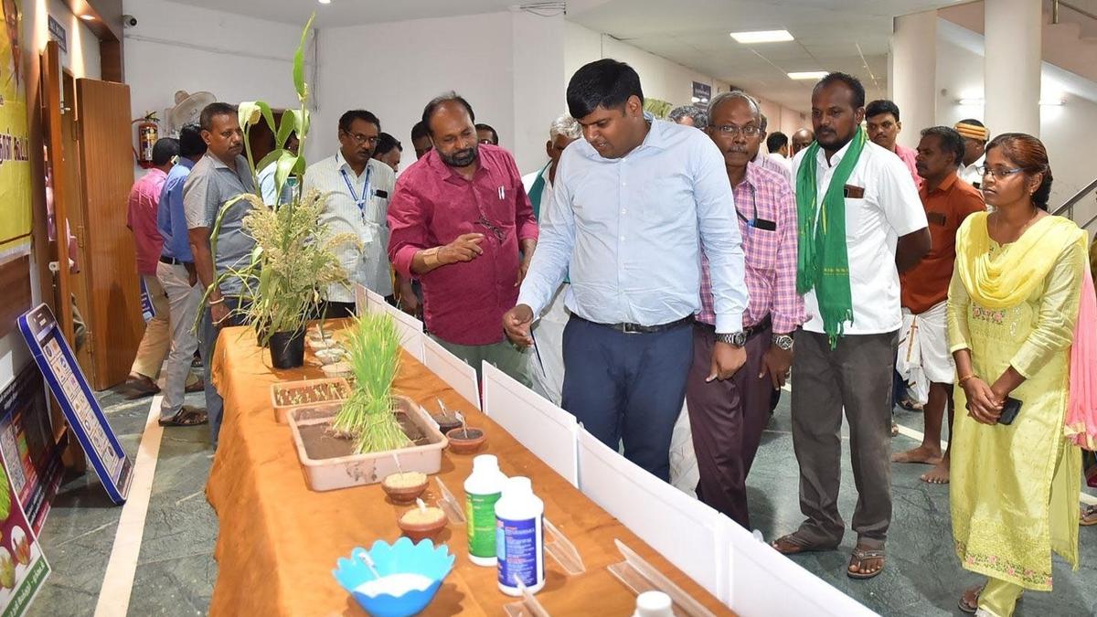 Declare Tirunelveli district drought-hit, urge farmers