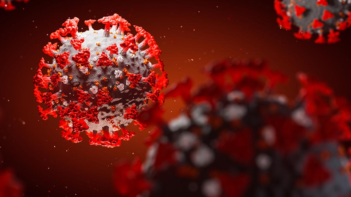 How COVID-19 damages lungs by attacking mitochondria