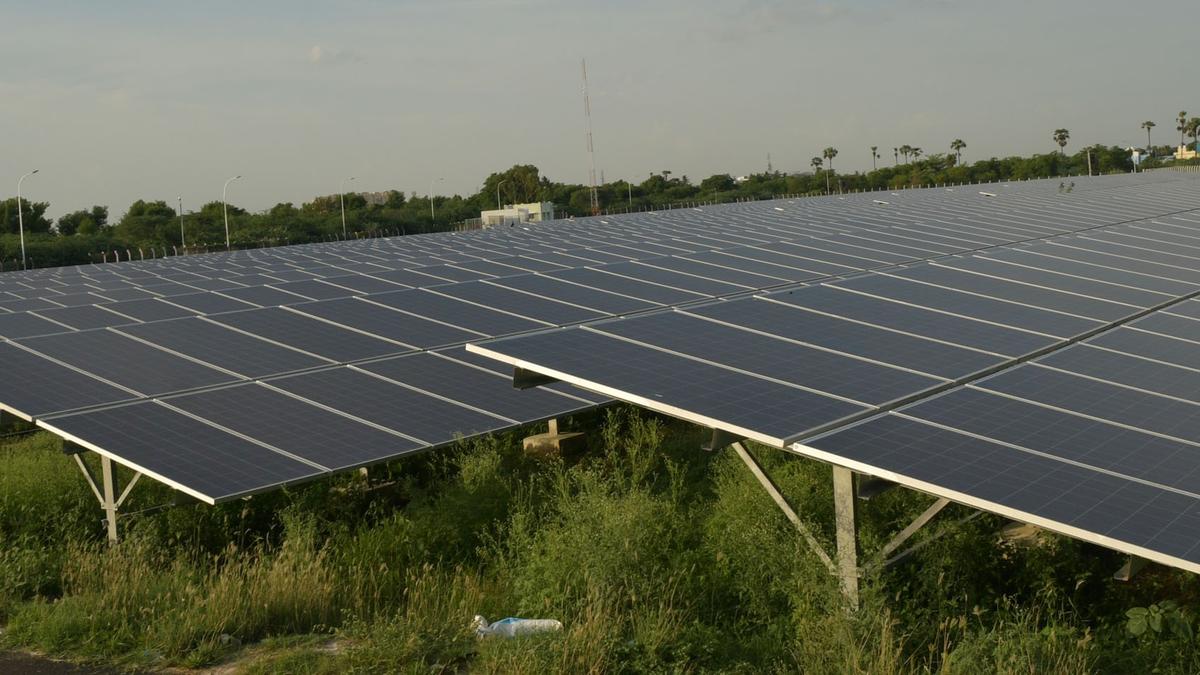 Tangedco’s pilot solar power park makes slow progress in Tiruvarur district