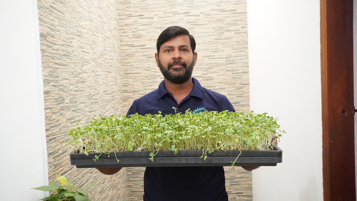 Santhosh Kumar S with white radish microgreens