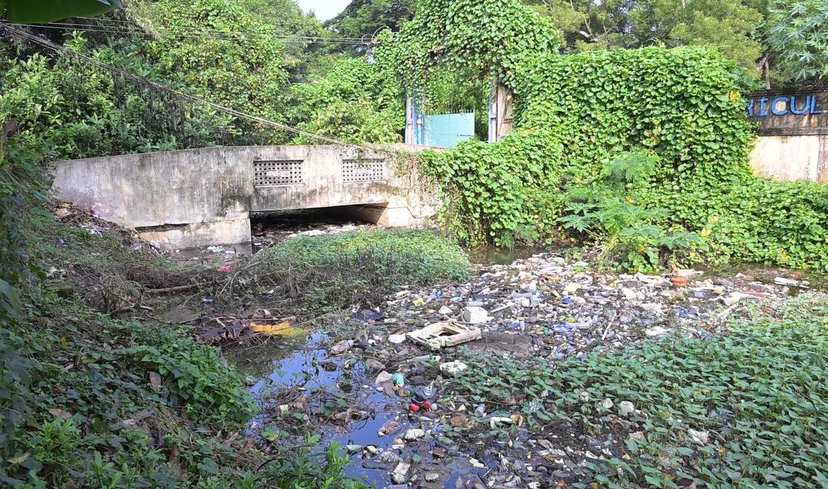 Garbage dumped in Pazhancauvery (Old Cauvery) at Sitharkadu, Mayiladuthurai district
