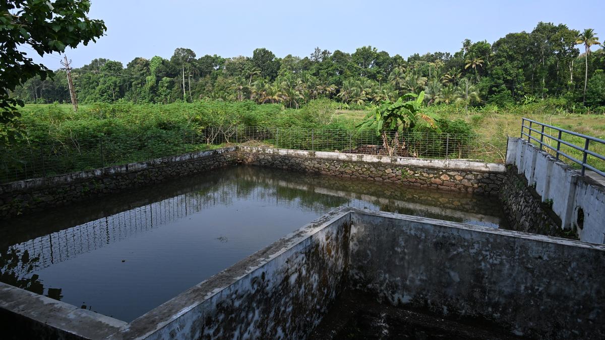 A village in Kerala in the throes of a health crisisPremium