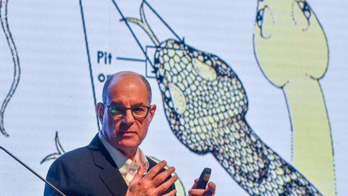 Understanding body’s perception of pain key to evolving new drugs: David Julius