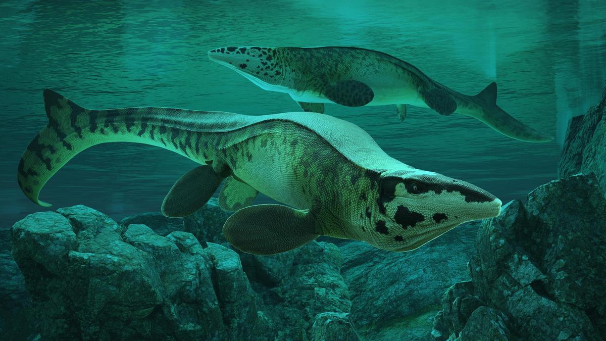 Fearsome dinosaur-era marine reptile was T. rex of the sea