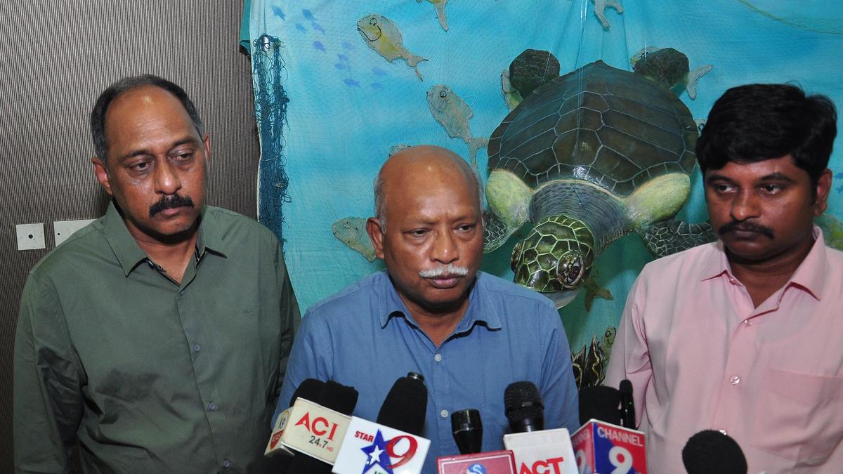 Collective efforts can save Olive Ridley turtles: PCCF