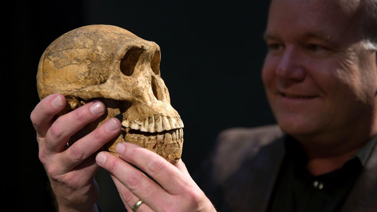 Controversial claims about extinct humans are stirring up evolution research
Premium