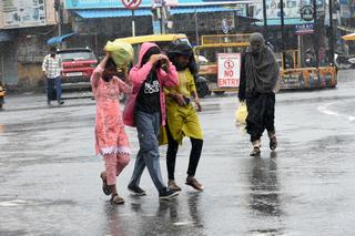 Karnataka rain: Minister orders immediate crop insurance relief, school  repairs in Bidar - The Hindu