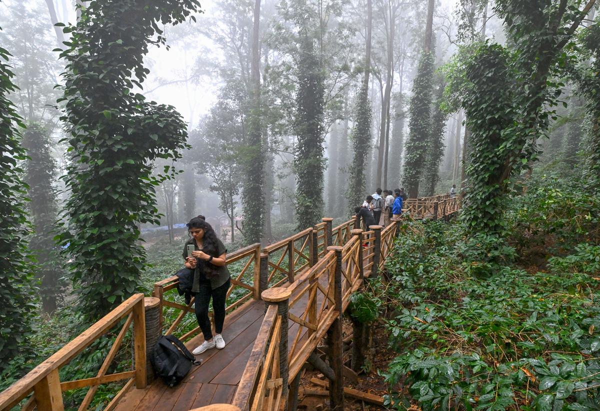 Tourists enjoying the chilly weather at the coffee plantations on the new wooden bridge in Araku.