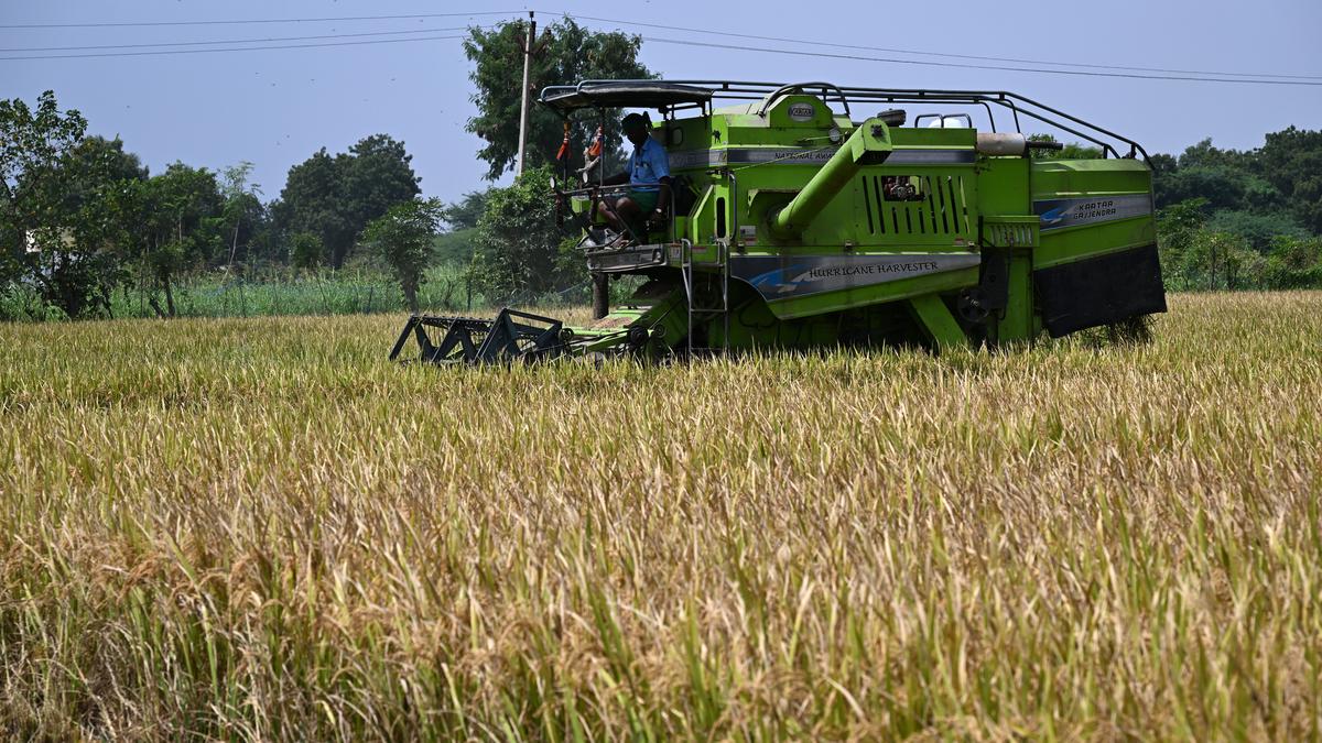 Nirmala Sitharaman announces PM Dhan Dhanya Krishi Yojana for farmers in Budget 2025