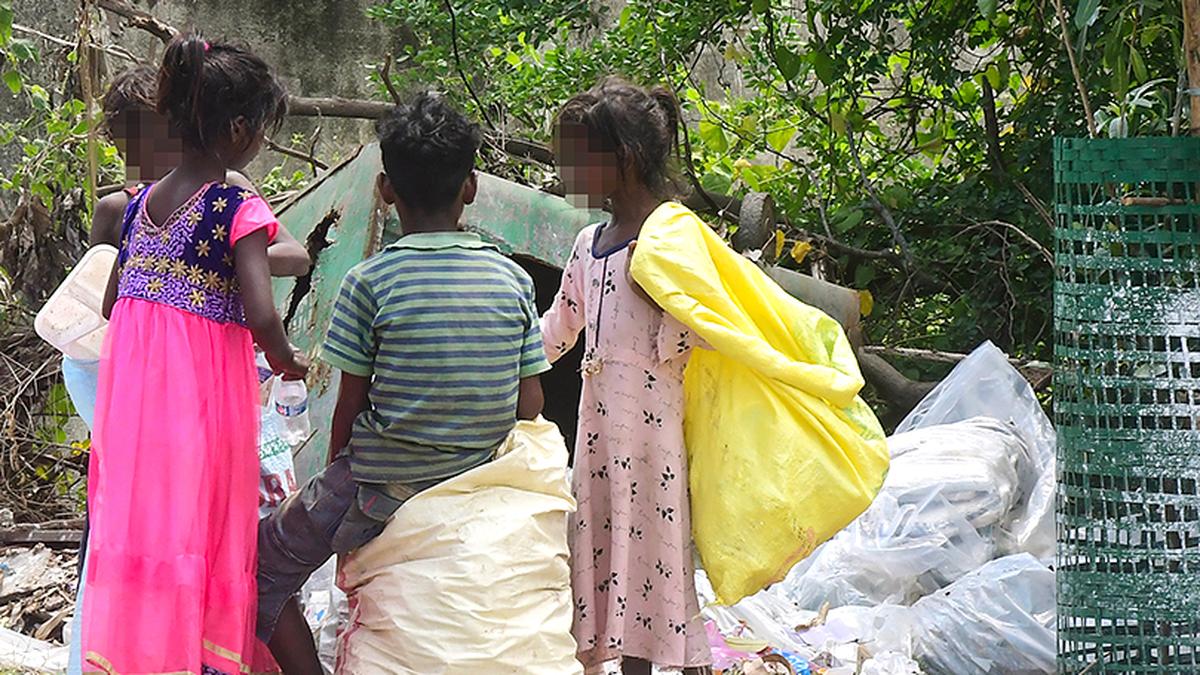 T.N. activists write to all newly-elected MPs urging them to enact a new, comprehensive child labour law