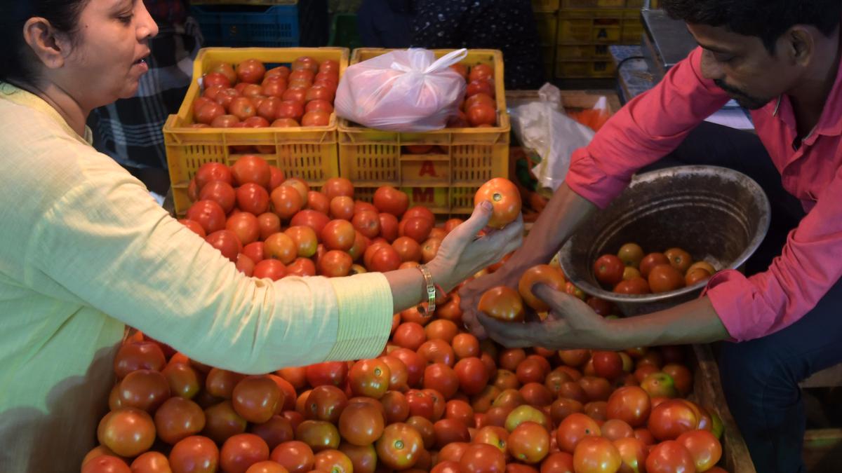 Tomato price soars as supply shrinks