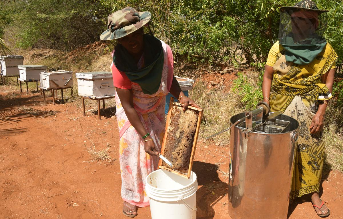 Workers extract honey with the help of centrifugal machines at Annai Bee Farms. 