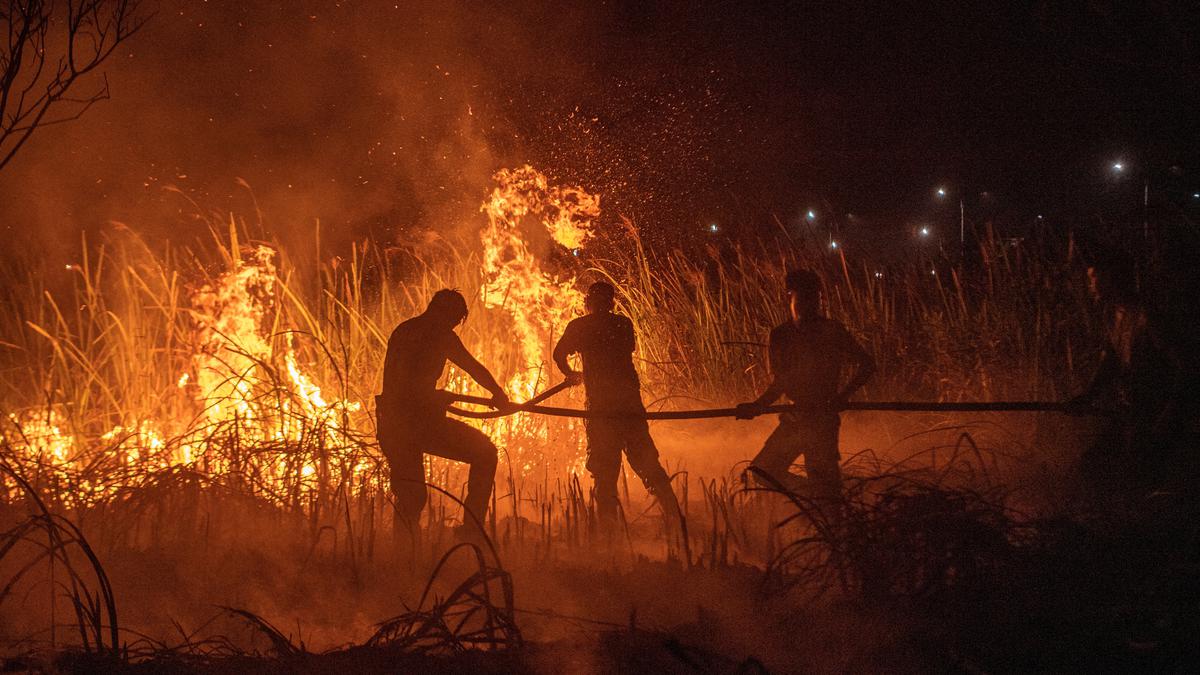 2023 on course to be warmest year on record | Data