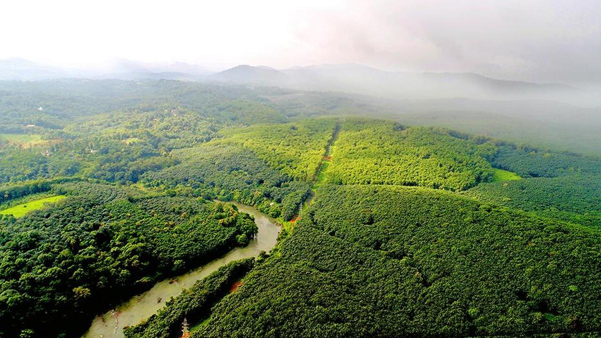 Sabarimala airport project back in focus amid legal and political cross-currents