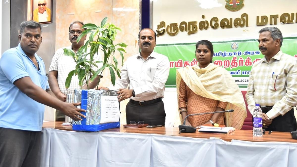 Around 5,000 tonnes of paddy procured in Tirunelveli district